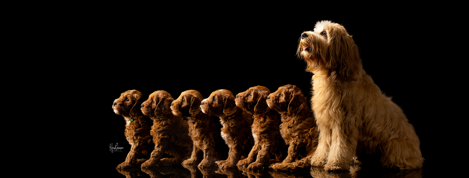 Groepsfoto facebook cover formaat