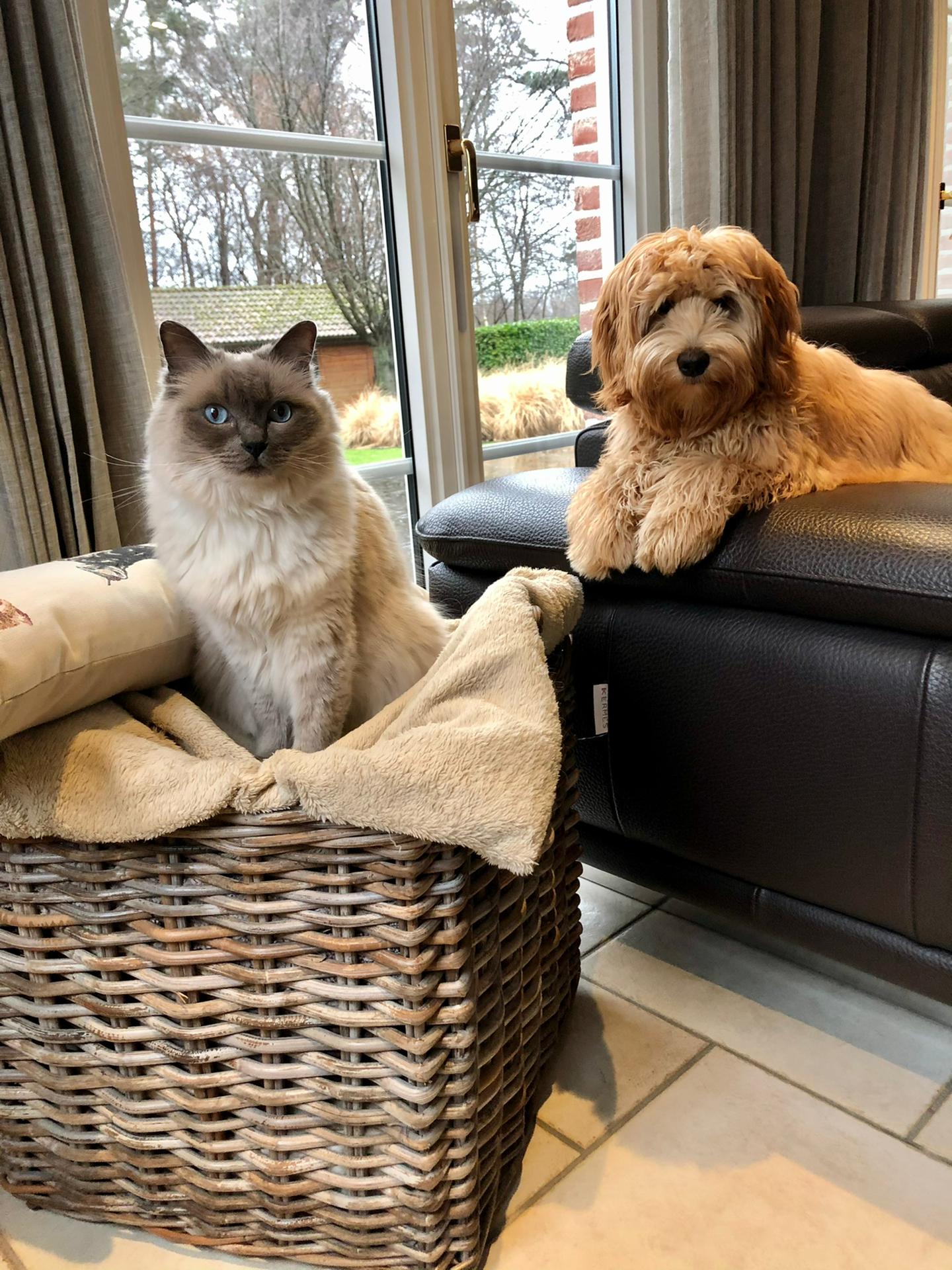 Vino en odette in zetel